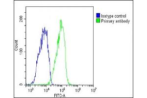 Overlay histogram showing HepG2 cells stained with (ABIN6242722 and ABIN6578815)(green line). (Glycogenin 1 anticorps  (AA 314-347))