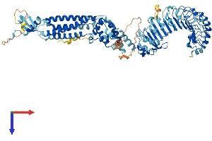 AlphaFold protein structure predicition of Human Recombinant LRRC8E Protein, UniprotID Q6NSJ5