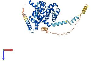 AlphaFold protein structure predicition of Mouse Recombinant Tbc1d20 Protein, UniprotID Q9D9I4