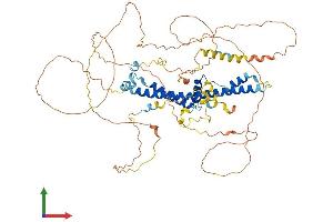 AlphaFold protein structure predicition of Mouse Recombinant Crebrf Protein, UniprotID Q8CDG5