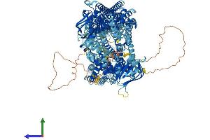 AlphaFold protein structure predicition of Human Recombinant ABCC1 Protein, UniprotID P33527