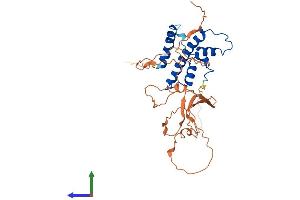 AlphaFold protein structure predicition of Mouse Recombinant Nfyc Protein, UniprotID P70353