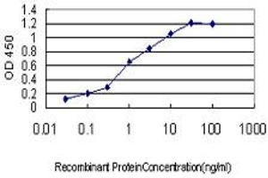 Detection limit for recombinant GST tagged CNAP1 is approximately 0.