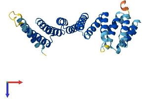 AlphaFold protein structure predicition of Human Recombinant NAPA Protein, UniprotID P54920
