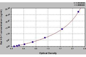 Typical Standard Curve (HMOX1 Kit ELISA)
