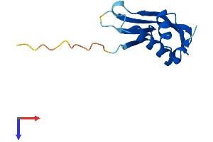 Chromosome 17 Open Reading Frame 103 (C17ORF103) (AA 1-110) protein (His tag)