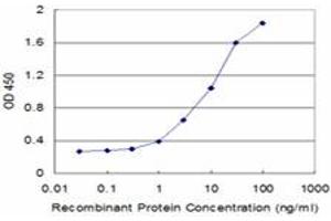 Detection limit for recombinant GST tagged SFN is approximately 0. (14-3-3 sigma/SFN anticorps  (AA 1-248))