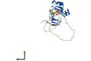 AlphaFold protein structure predicition of Mouse Recombinant Birc7 Protein, UniprotID A2AWP0