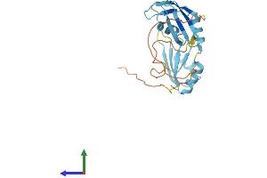 AlphaFold protein structure predicition of Human Recombinant SRSF9 Protein, UniprotID Q13242