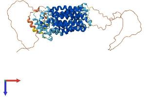 AlphaFold protein structure predicition of Human Recombinant SLC2A12 Protein, UniprotID Q8TD20