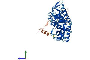 AlphaFold protein structure predicition of Human Recombinant MRPL39 Protein, UniprotID Q9NYK5