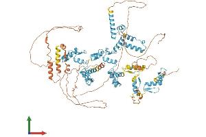 AlphaFold protein structure predicition of Human Recombinant ZKSCAN5 Protein, UniprotID Q9Y2L8