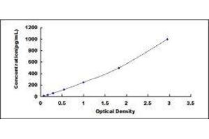 Vascular Endothelial Cell Growth Factor 121 (VEGF121) ELISA Kit
