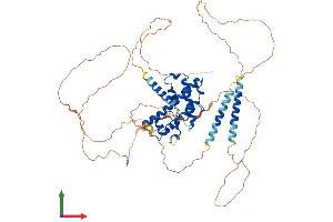 AlphaFold protein structure predicition of Human Recombinant PROX2 Protein, UniprotID Q3B8N5