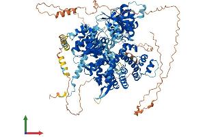 AlphaFold protein structure predicition of Human Recombinant HELQ Protein, UniprotID Q8TDG4