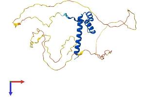 AlphaFold protein structure predicition of Human Recombinant HOXC12 Protein, UniprotID P31275