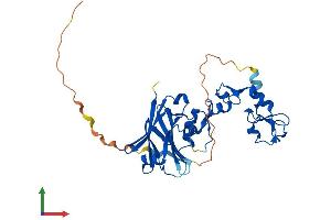 AlphaFold protein structure predicition of Mouse Recombinant Siah2 Protein, UniprotID Q06986