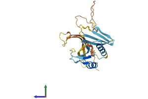 AlphaFold protein structure predicition of Mouse Recombinant Oaz3 Protein, UniprotID Q9R109