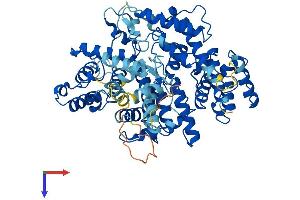 AlphaFold protein structure predicition of Human Recombinant PLS3 Protein, UniprotID P13797