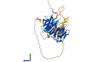 AlphaFold protein structure predicition of Human Recombinant WIPI2 Protein, UniprotID Q9Y4P8