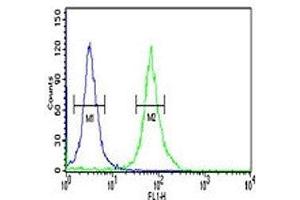 PKM2 antibody flow cytometric analysis of 293 cells (right histogram) compared to a negative control (left histogram).