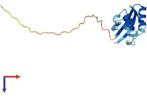 AlphaFold protein structure predicition of Mouse Recombinant Pin4 Protein, UniprotID Q9CWW6