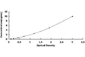 Typical standard curve (ATG5 Kit ELISA)