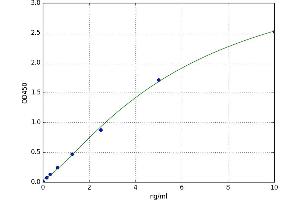 Matrix Metallopeptidase 17 (Membrane-inserted) (MMP17) ELISA Kit