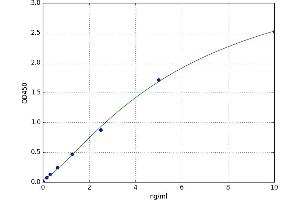 A typical standard curve (MMP17 Kit ELISA)