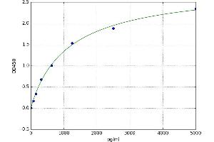 A typical standard curve (CD80 Kit ELISA)