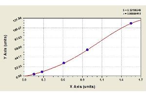 Image no. 1 for Carcinoembryonic Antigen Gene Family (CEA) ELISA Kit (ABIN365060) (CEA Kit ELISA)
