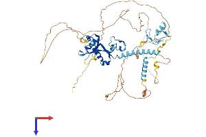 AlphaFold protein structure predicition of Mouse Recombinant Cnot4 Protein, UniprotID Q8BT14