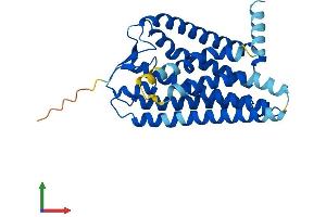 AlphaFold protein structure predicition of Mouse Recombinant Olfr143 Protein, UniprotID P34985