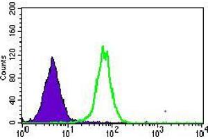 Flow cytometric analysis of HepG2 cells using MRPL42 mouse mAb (green) and negative control (purple). (MRPL42 anticorps  (AA 142-203))