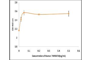 Activity Assay (AcA) image for Tumor Necrosis Factor Receptor Superfamily, Member 1B (TNFRSF1B) (Active) protein (ABIN5509485)