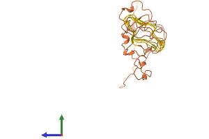 AlphaFold protein structure predicition of Human Recombinant KRTAP5-5 Protein, UniprotID Q701N2
