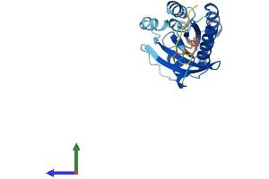 AlphaFold protein structure predicition of Human Recombinant RAB2B Protein, UniprotID Q8WUD1
