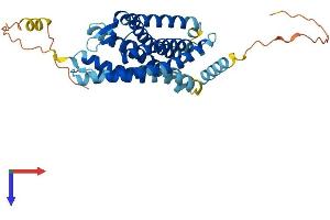 AlphaFold protein structure predicition of Mouse Recombinant Cxcr3 Protein, UniprotID O88410