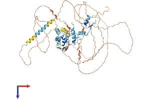 AlphaFold protein structure predicition of Human Recombinant ZBTB5 Protein, UniprotID O15062