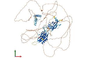 AlphaFold protein structure predicition of Human Recombinant SYTL2 Protein, UniprotID Q9HCH5