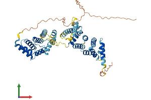 AlphaFold protein structure predicition of Human Recombinant MROH8 Protein, UniprotID Q9H579
