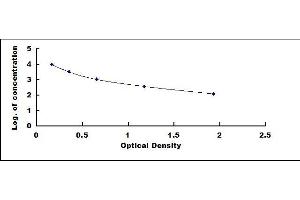 Typical standard curve (Kallikrein 10 Kit ELISA)