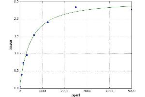 Aquaporin 12A (AQP12A) ELISA Kit