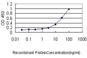 Detection limit for recombinant GST tagged EBF1 is approximately 0.