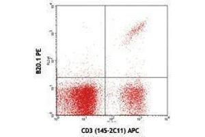 Flow Cytometry (FACS) image for anti-V alpha 2 TCR antibody (PE) (ABIN2663906) (V alpha 2 TCR anticorps (PE))