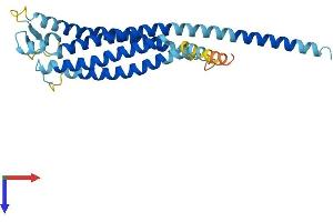 AlphaFold protein structure predicition of Human Recombinant GPM6A Protein, UniprotID P51674