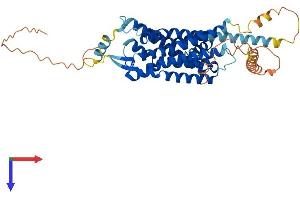 AlphaFold protein structure predicition of Mouse Recombinant Hcrtr2 Protein, UniprotID P58308