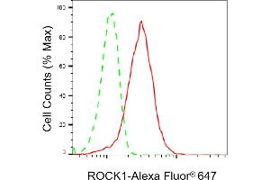 Flow cytometric analysis of ROCK1 expression in HepG2 cells using ROCK1 antibody (ABIN7800202), 1:2,000). (Recombinant ROCK1 anticorps)