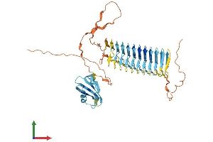 AlphaFold protein structure predicition of Human Recombinant DAZ3 Protein, UniprotID Q9NR90