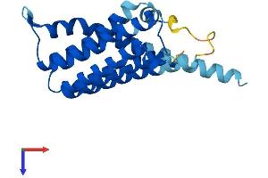 AlphaFold protein structure predicition of Human Recombinant CDIPT Protein, UniprotID O14735